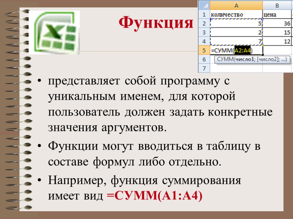 Функция представляет собой программу с уникальным именем, для которой пользователь должен задать конкретные значения